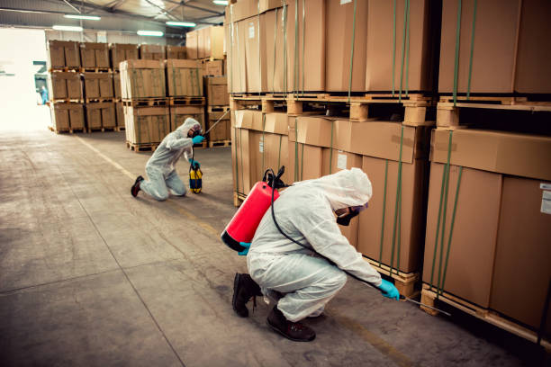 Best Best Pest Control Companies  in Buffalo, MO