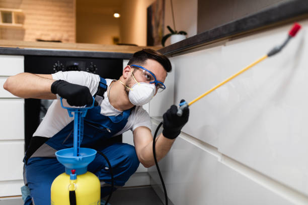 Best Mosquito Control Services  in Buffalo, MO
