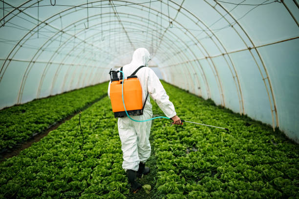 Professional Pest Control in Buffalo, MO