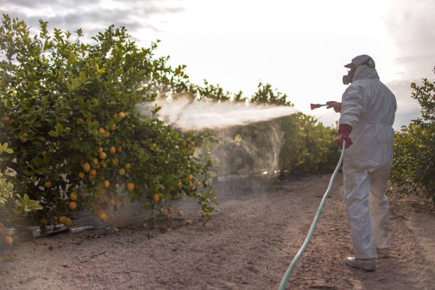 Best Pest Inspection Near Me  in Buffalo, MO