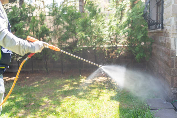 Best Affordable Pest Control Services  in Buffalo, MO