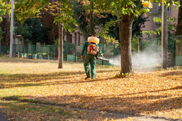 Best Pest Removal Services  in Buffalo, MO