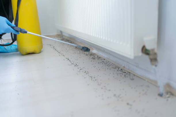 Best Commercial Pest Control Services  in Buffalo, MO