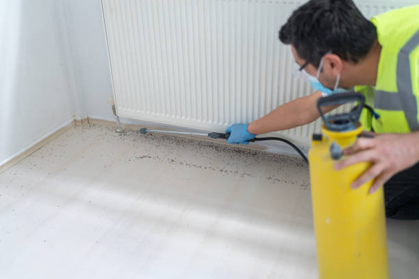 Best Flea Control Services  in Buffalo, MO
