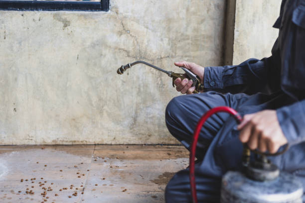 Best Exterminator Services  in Buffalo, MO